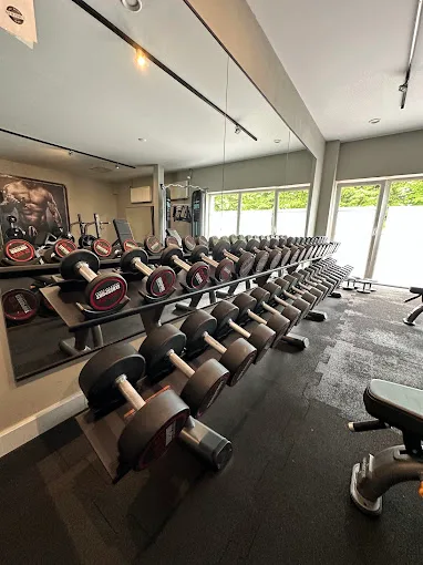 Krafttrainingsbereich im Gym4You Studio